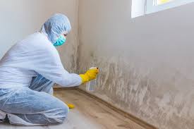 Reliable Cherry Hill, VA Mold Prevention & Removal  Solutions