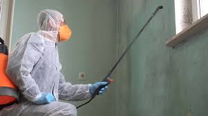 Why You Should Choose Our Mold Remediation Services in Cherry Hill, VA